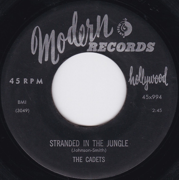 File:Strandedinthejungle.jpg