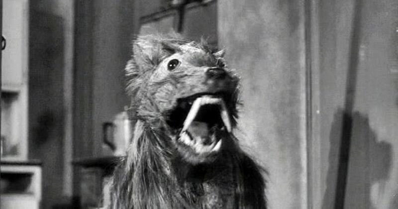 File:The Killer Shrews.jpg