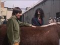 Frank Zappa in Head.jpg